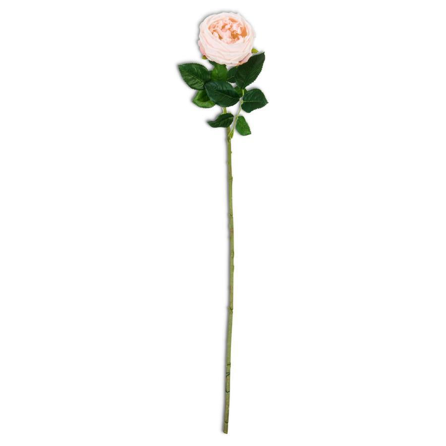 Peach Real Touch Austin Rose Stem