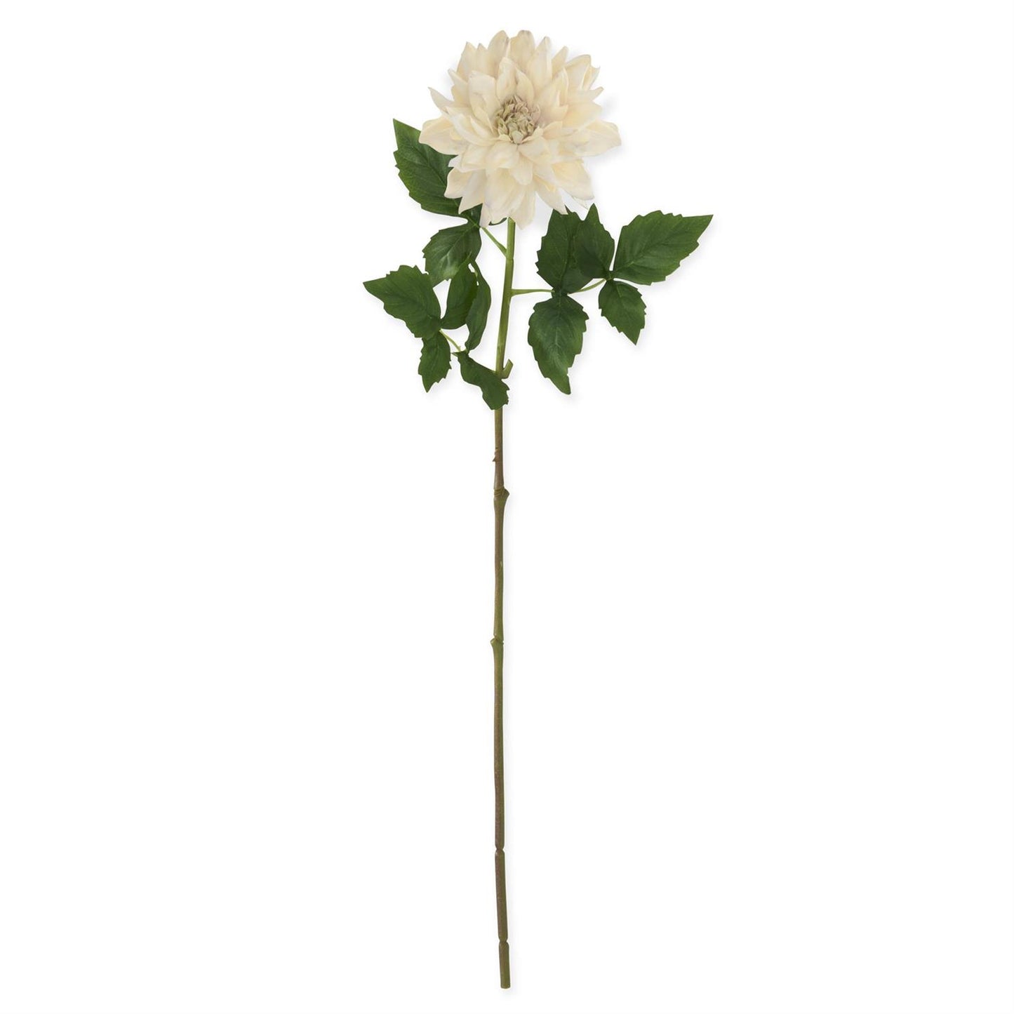 Cream Real Touch Dahlia