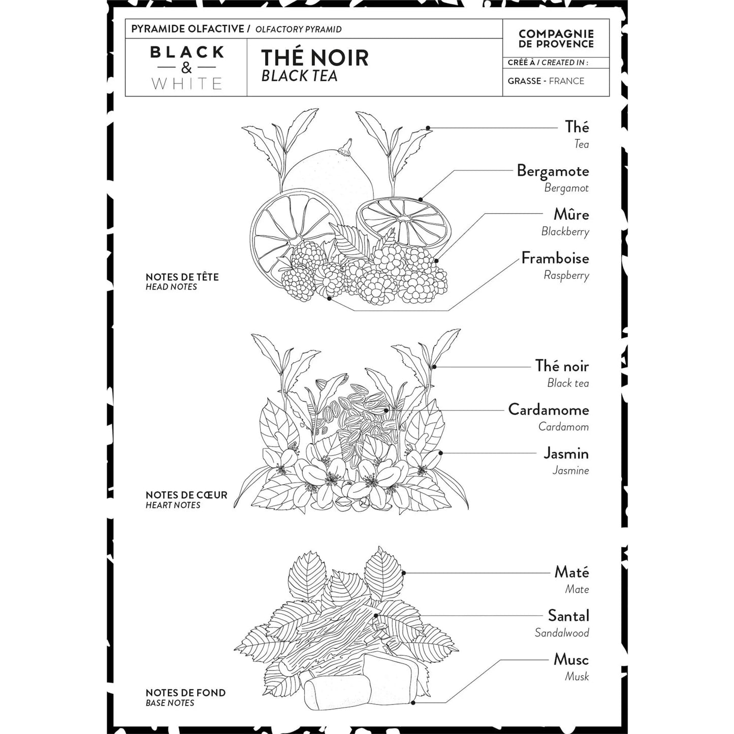 Black Tea Liquid Marseille Soap 10 fl. oz.