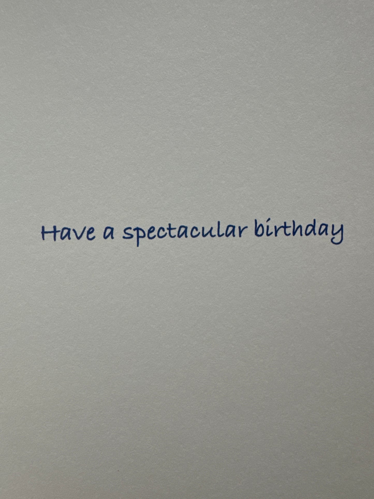 Swan Pool Float Birthday Card