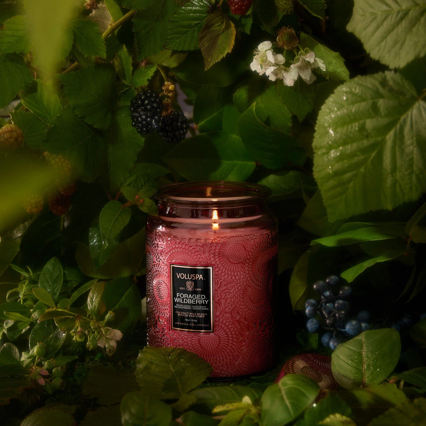 Foraged Wildberry Large Jar Candle