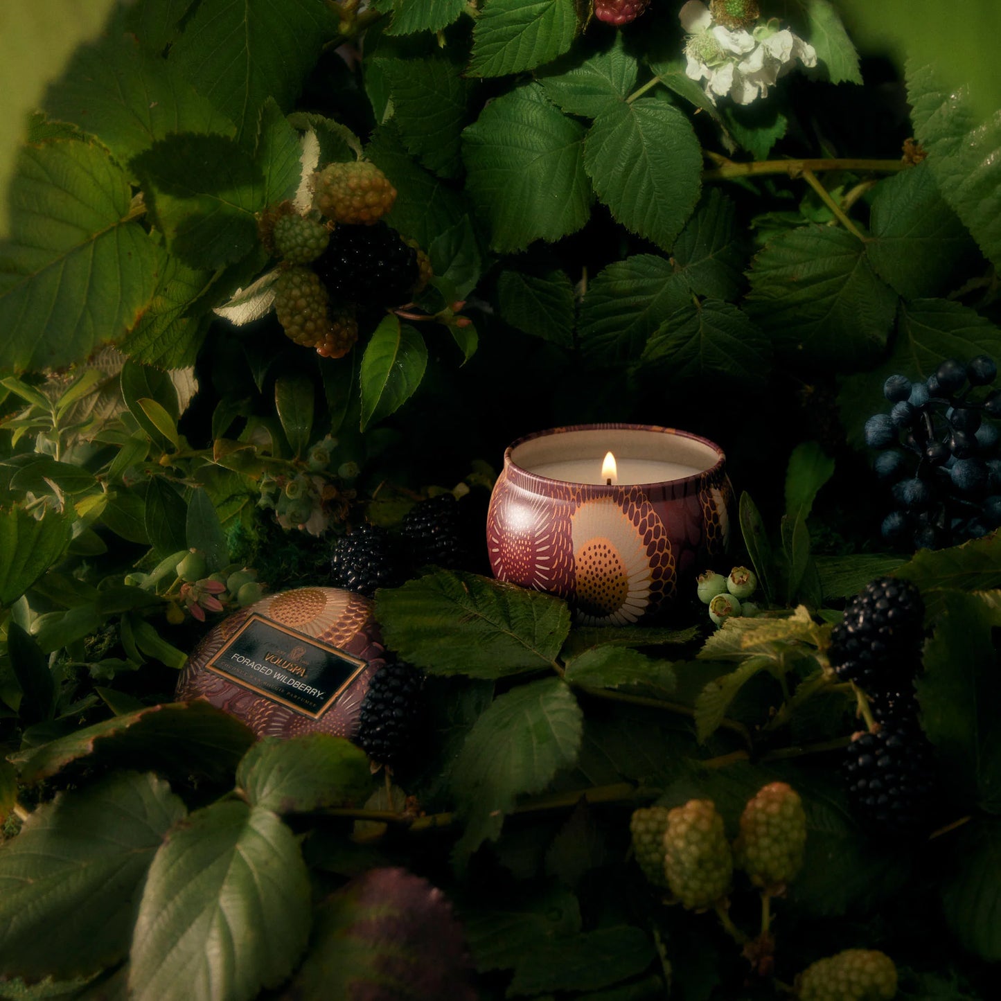 Foraged Wildberry Mini Tin Candle