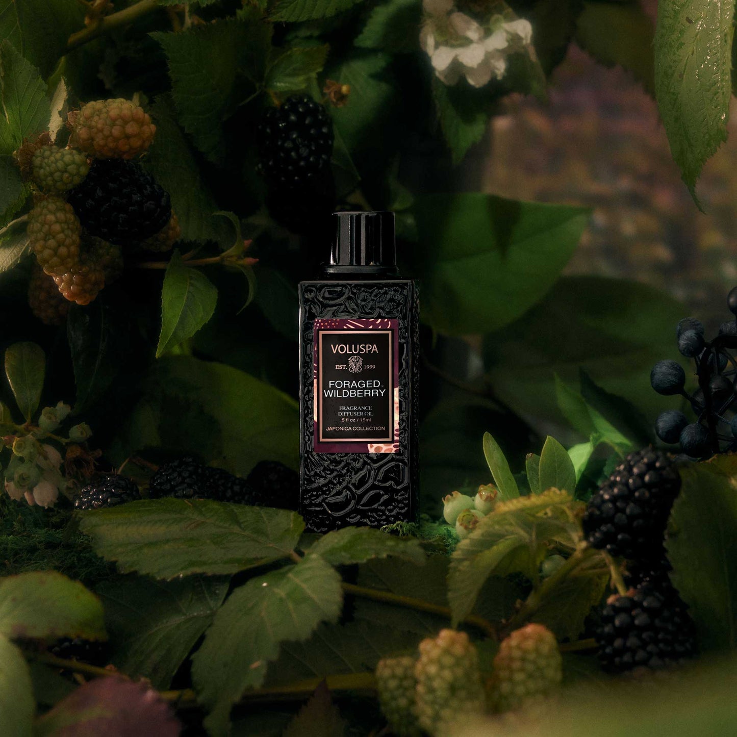 Foraged Wildberry Ultrasonic Diffuser Fragrance Oil