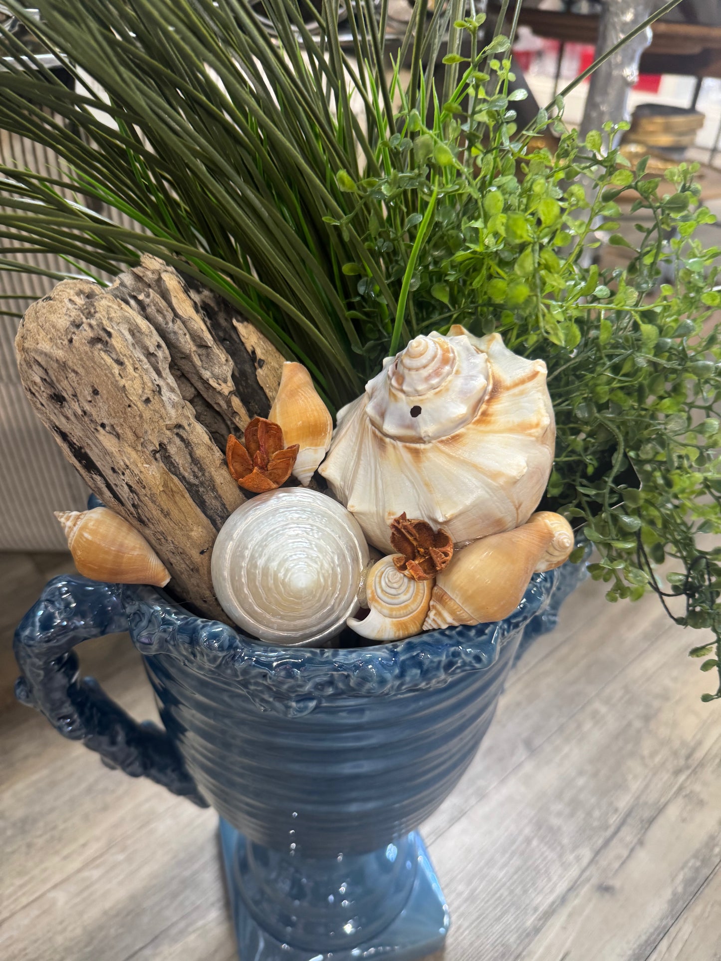 Shell Plant in Blue Vase