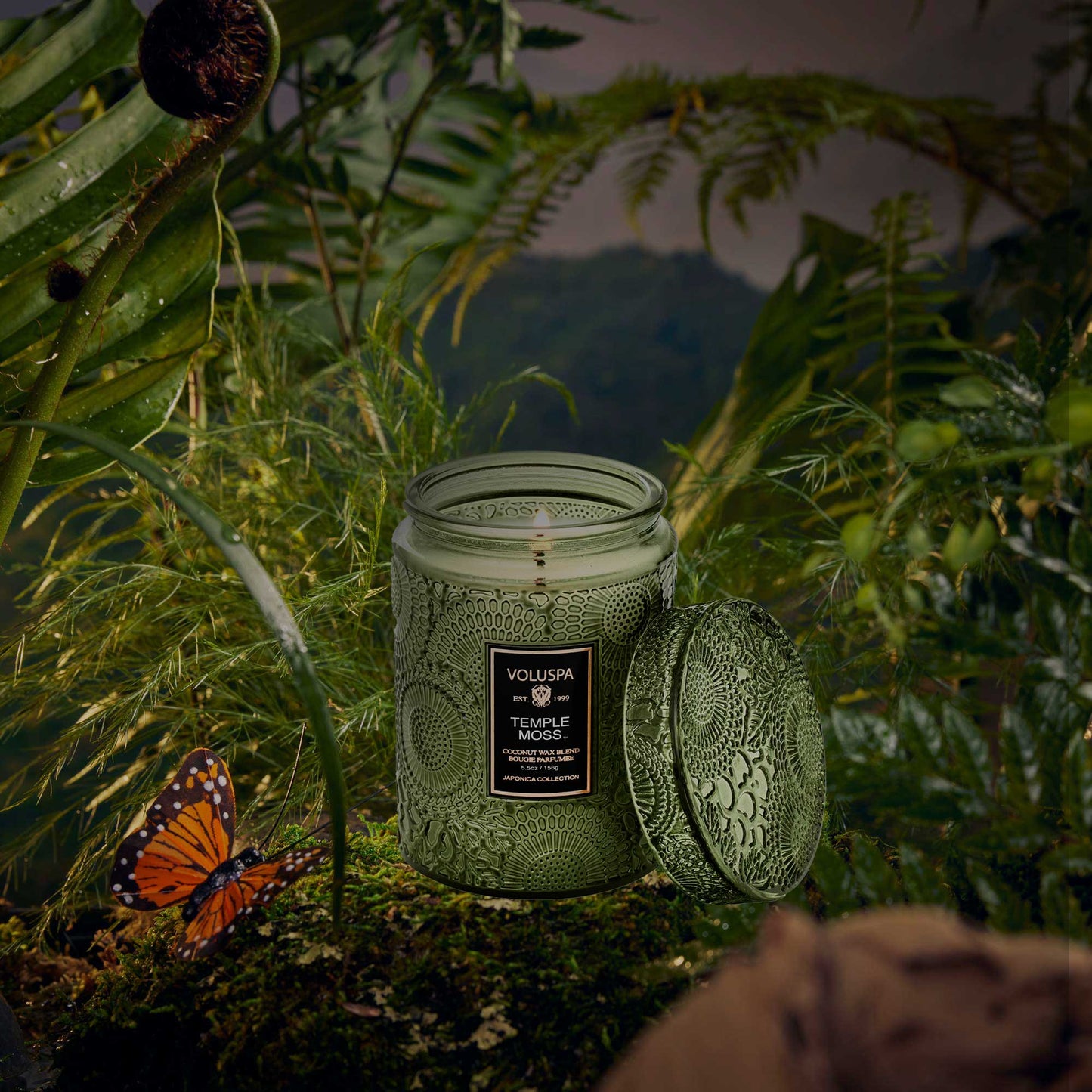 Temple Moss Embossed Small Jar Candle