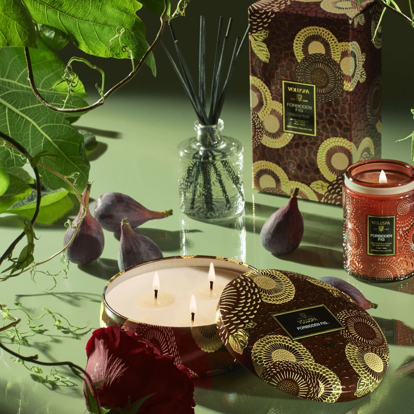 Forbidden Fig 3 Wick Candle