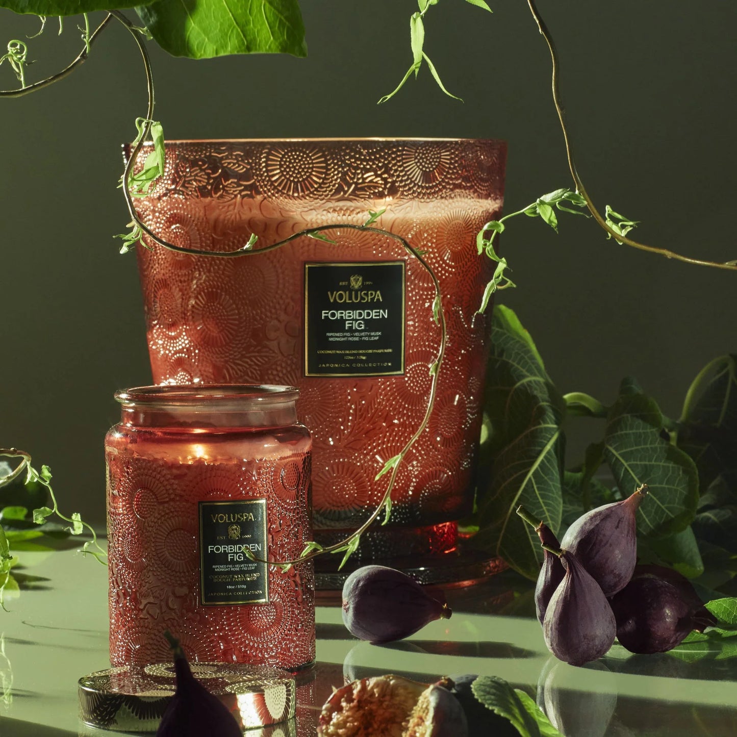 Forbidden Fig Hearth