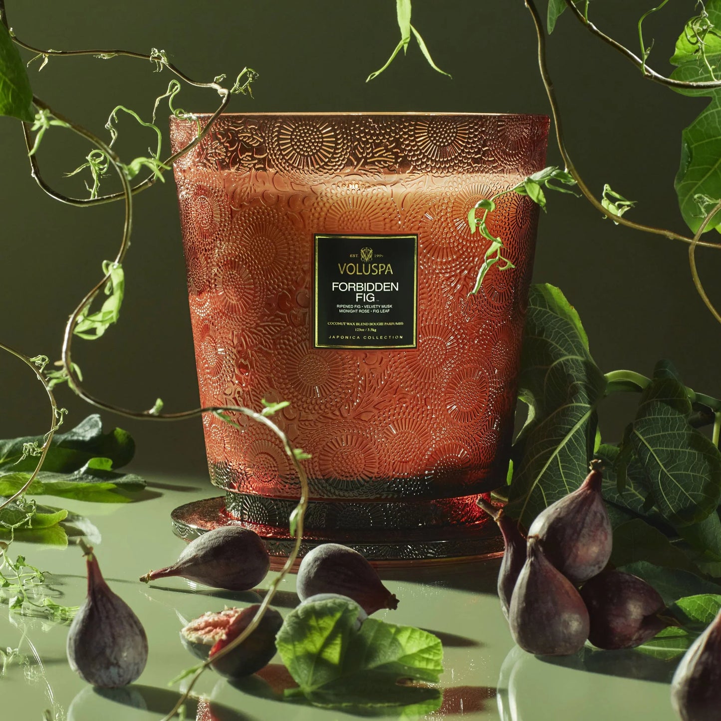Forbidden Fig Hearth