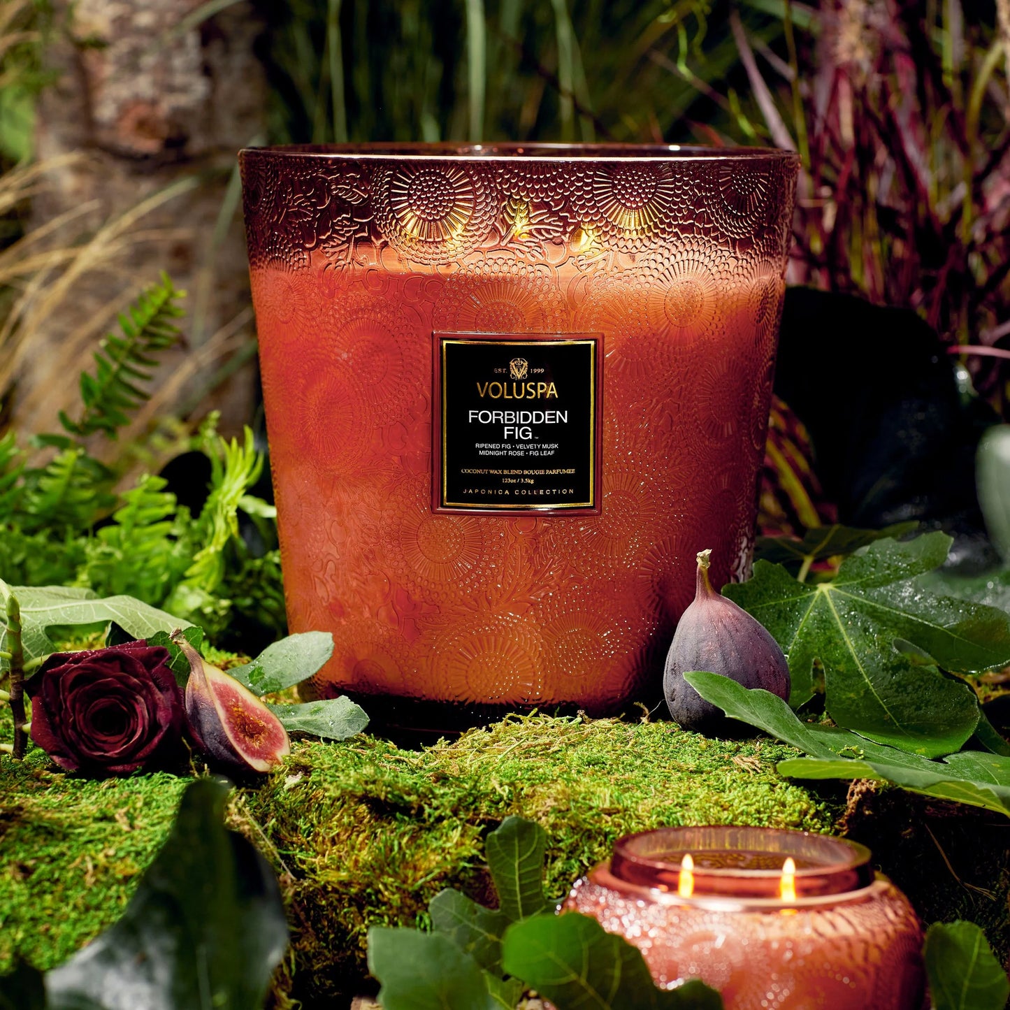 Forbidden Fig Hearth