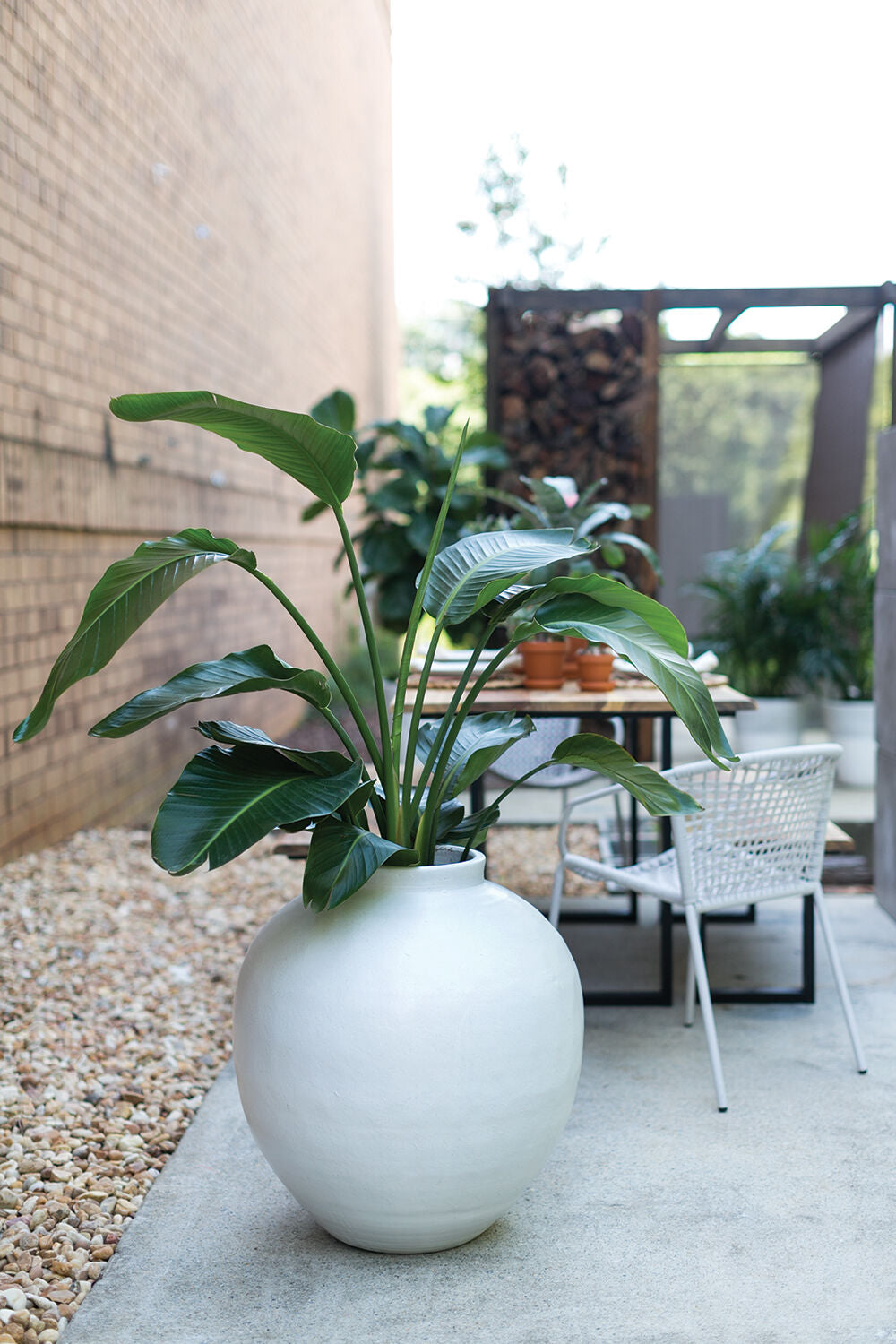 Sabtorini Vase 23x24