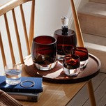 Whiskey Club Tumbler Set of 2 8oz