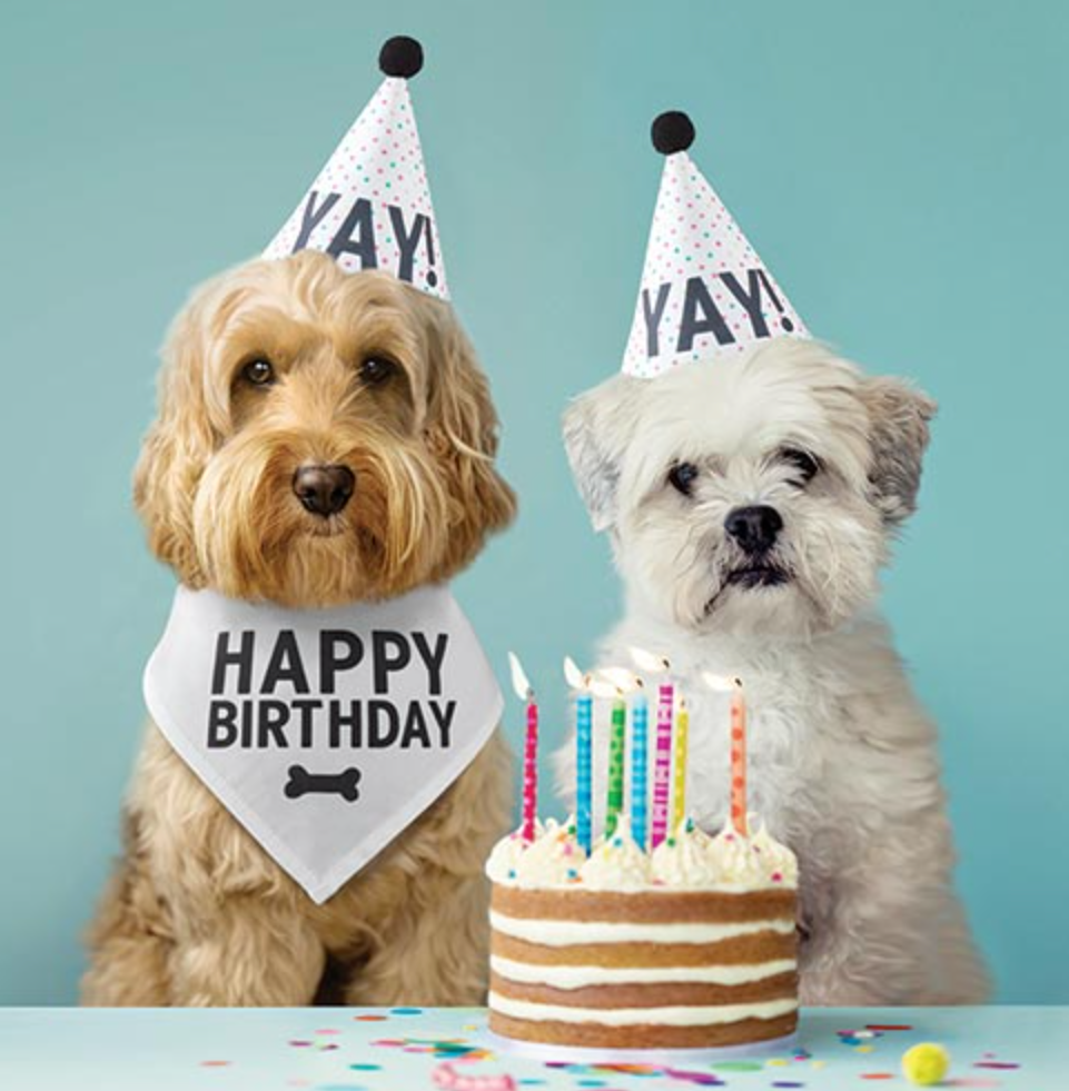 Pet Birthday Book Box