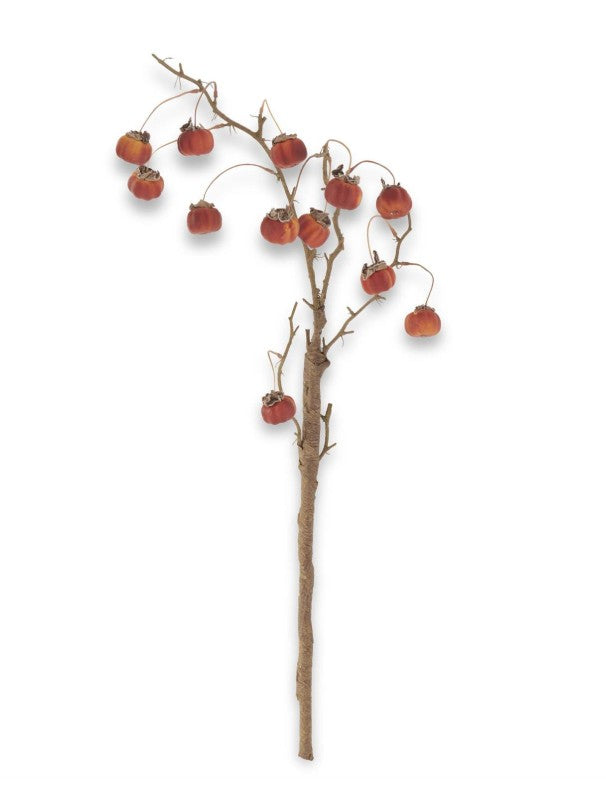 Orange Mini Pumpkin Branch