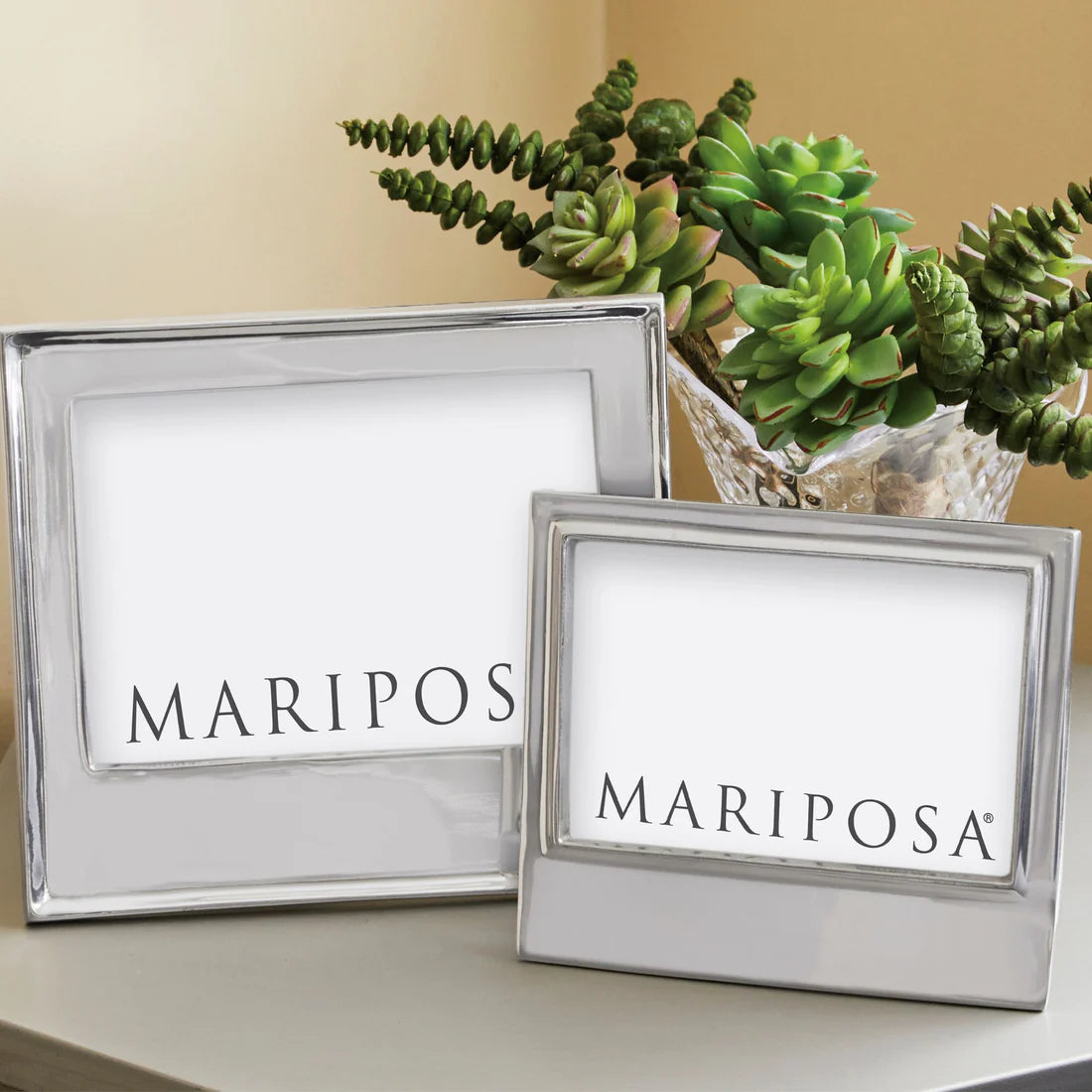 Signature 4x6 Statement Frame