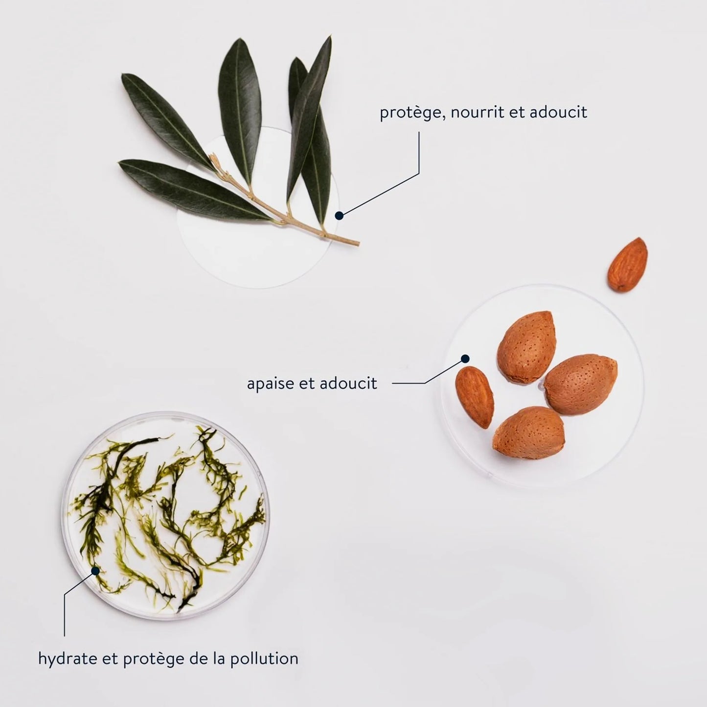 Velvet Seaweed Travel Hand Cream, Ultra-Hydrating