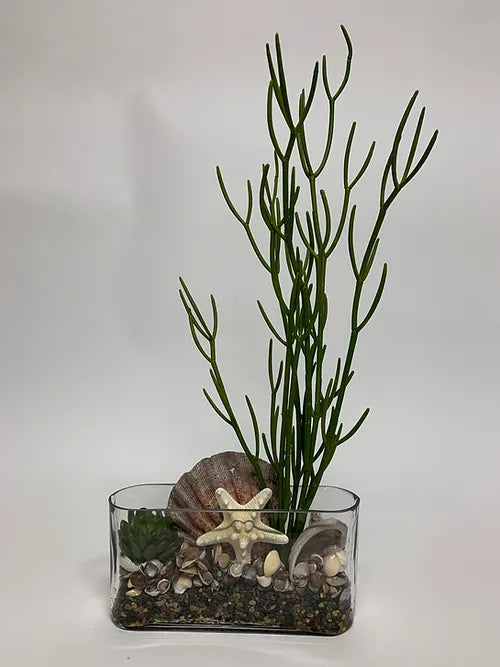 Shell Firestick in Oval Vase 10"