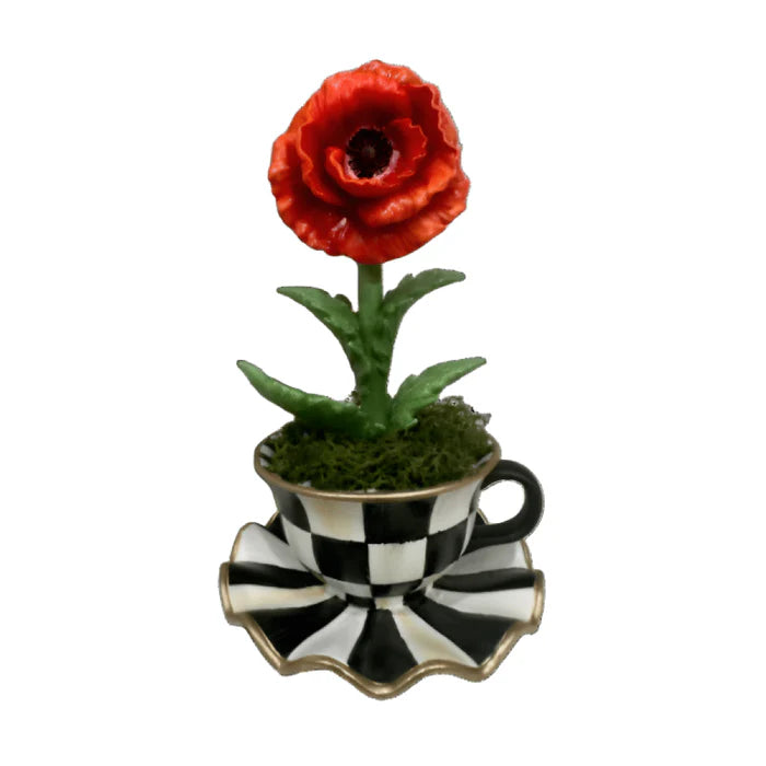 Teacup Poppy