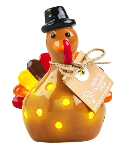 Turkey Light up Sitter