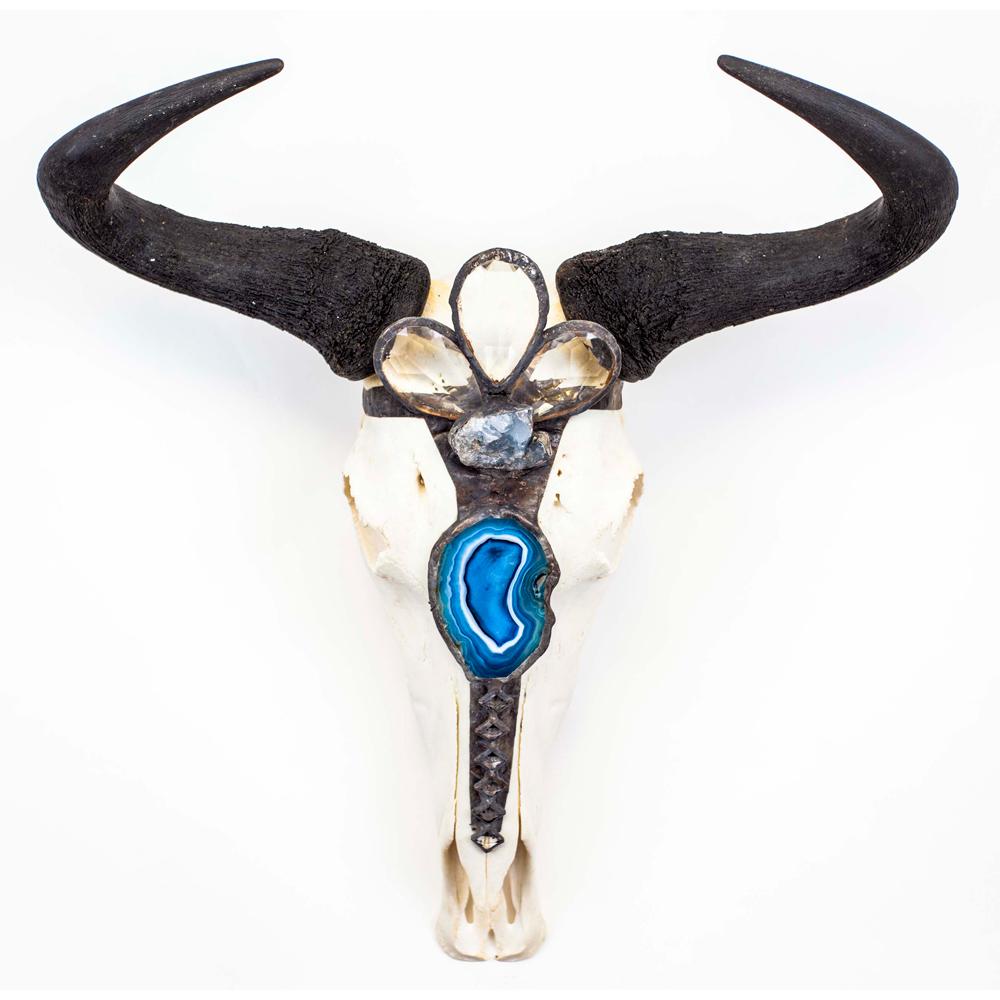 Kahlo Wildebeest Skull