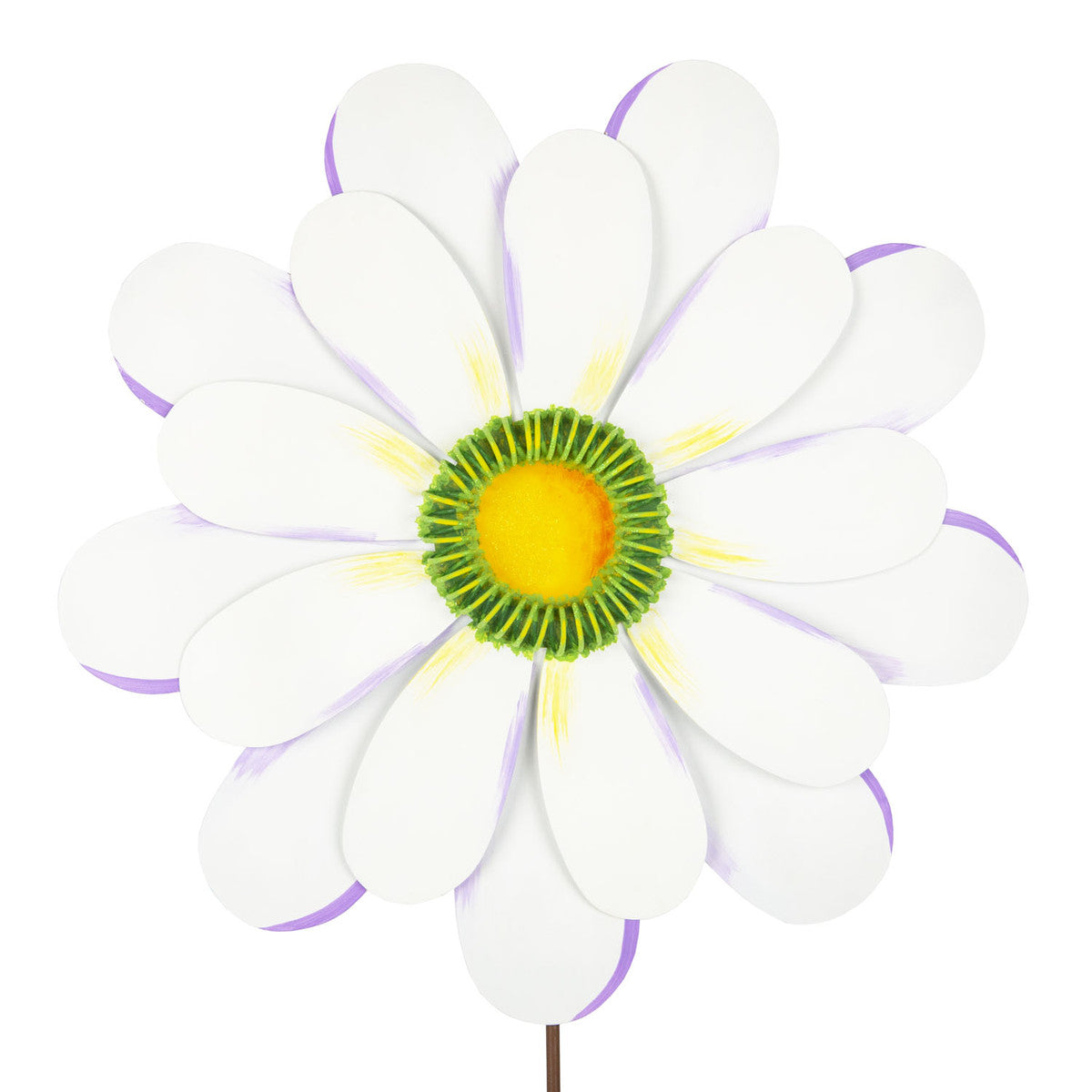 Giant Daisy