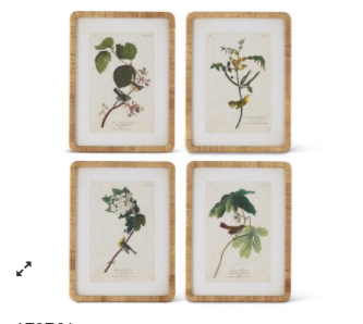 Assorted Bird/Botanical Print w/Rattan Frame (4 Styles) 23.25 Inch