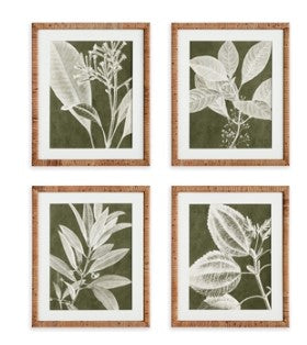 Translucent Stem Prints