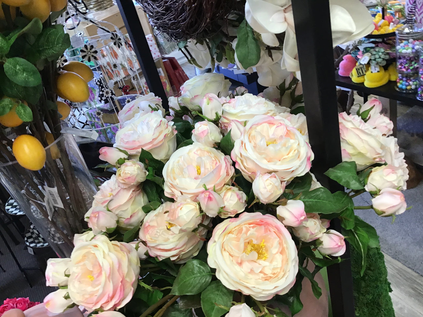 Pink Rose English Titania