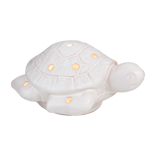 Sea Turtle Light-Up Sitter