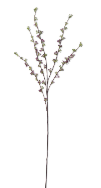 Purple Hoary Willow Spray 46 Inch