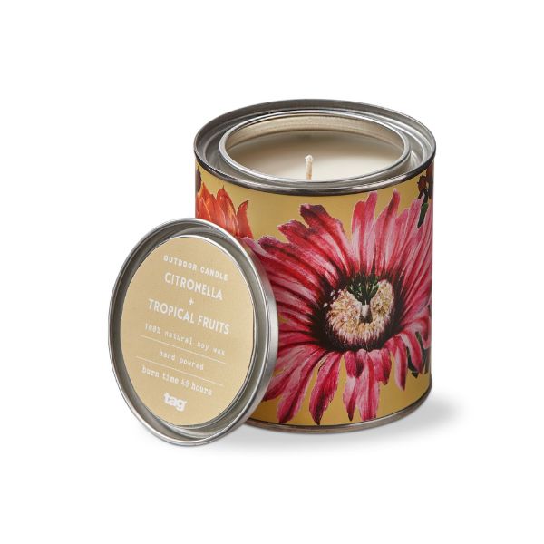 Citro + Tropical Fruits Tin
