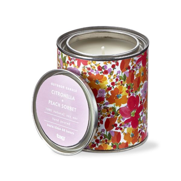 Citro + Peach Sorbet Tin
