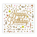 Pet Birthday Kit - HBD Furry Baby