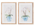 Potted Phalaenopsis Print
