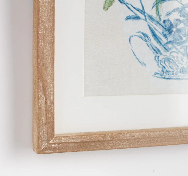 Potted Phalaenopsis Print