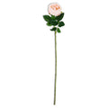 Peach Real Touch Austin Rose Stem