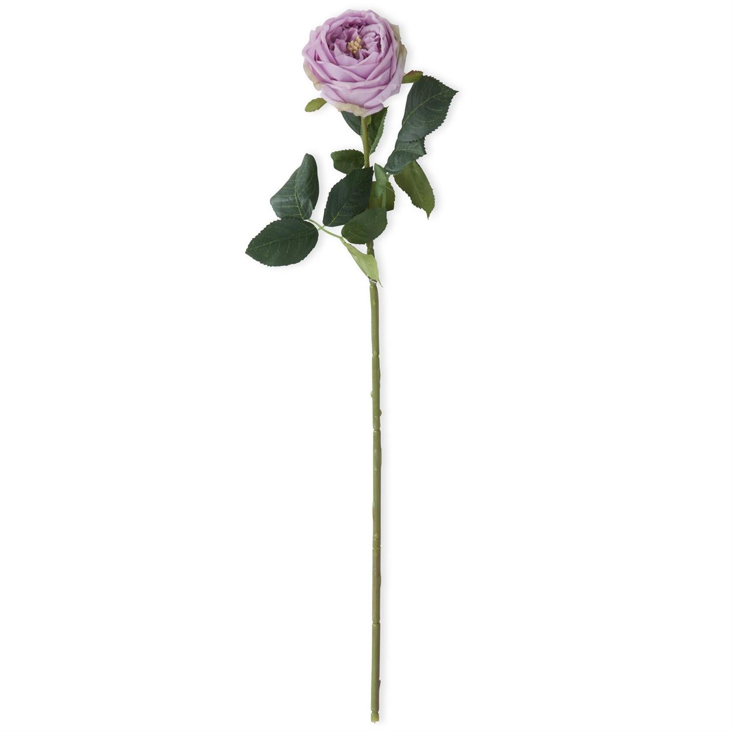 Light Purple Real Touch Austin Rose Stem