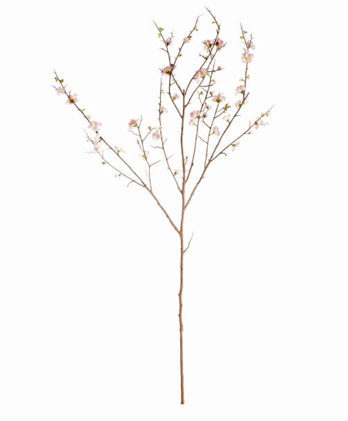 Pink Quince Blossom Branch 54" ST/2