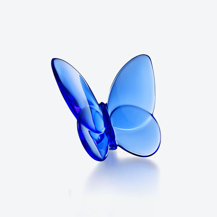 Papillon Lucky Butterfly, Blue