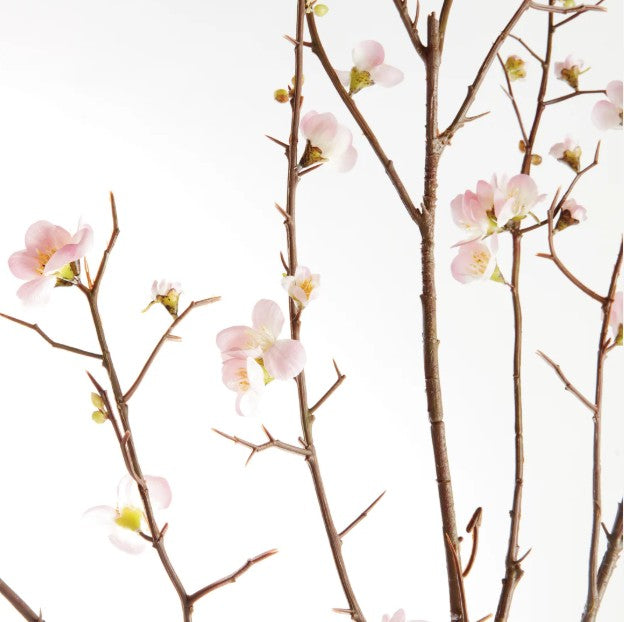 Pink Quince Blossom Branch 54" ST/2