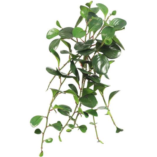Marble Jade Bush