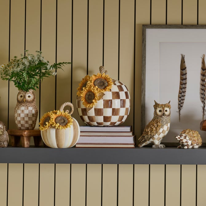 Chocolate Check Sunflower Pumpkin