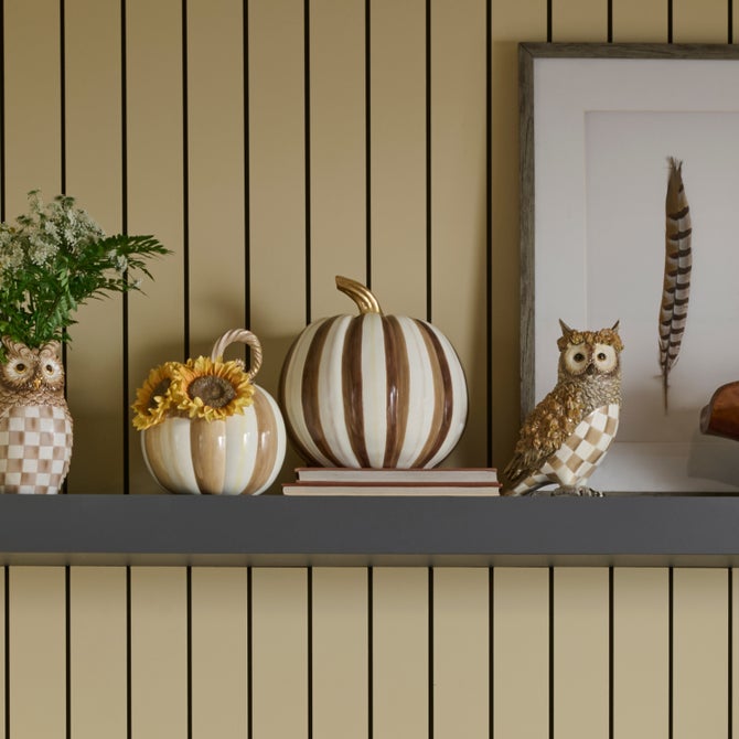 Chocolate Stripe Medium Pumpkin