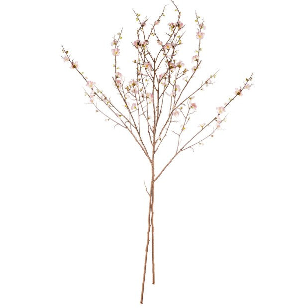 Pink Quince Blossom Branch 54" ST/2