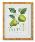 Fruit Study Art