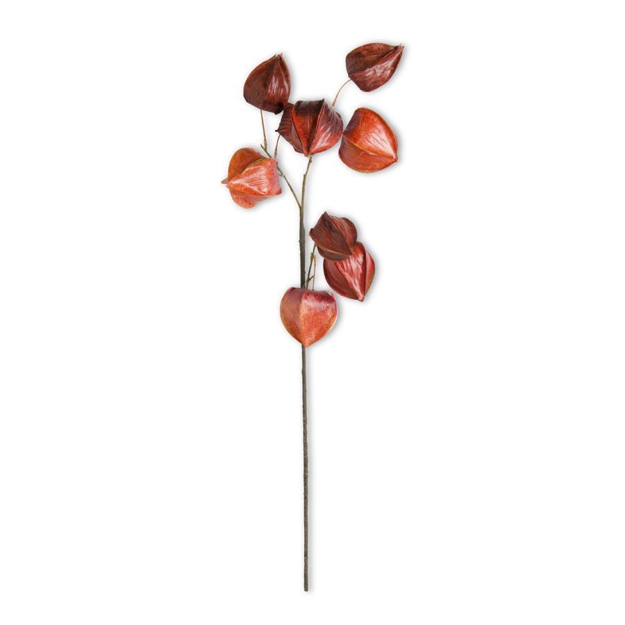 Orange & Red Chinese Lantern Spray