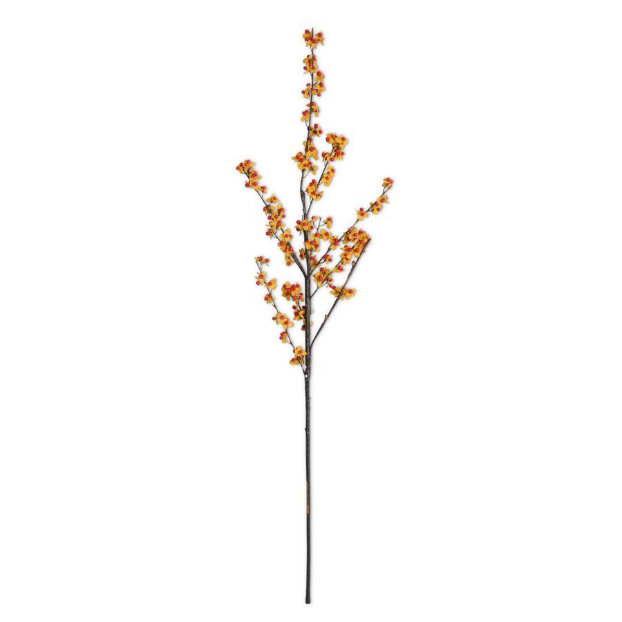 Orange & Yellow Bittersweet Branch