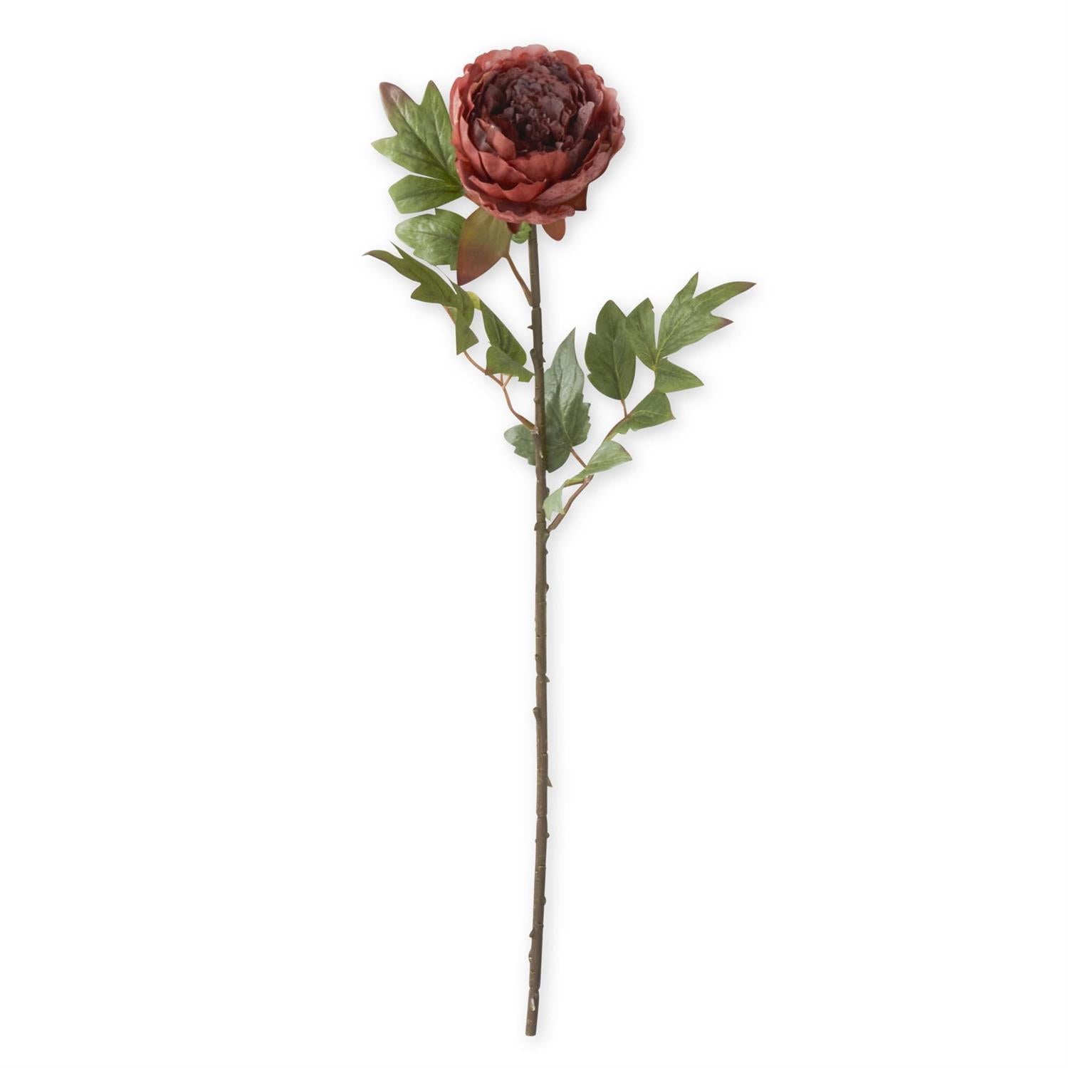 Burgundy Real Touch Peony