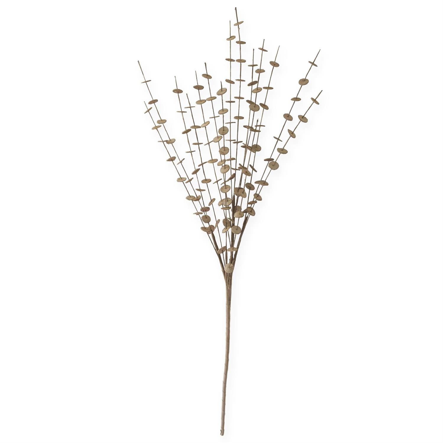 Brown Eva Button Spray 38 Inch