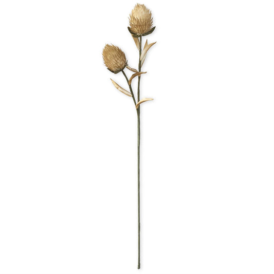 Tan & Green Eva Double Spikey Pod Stem