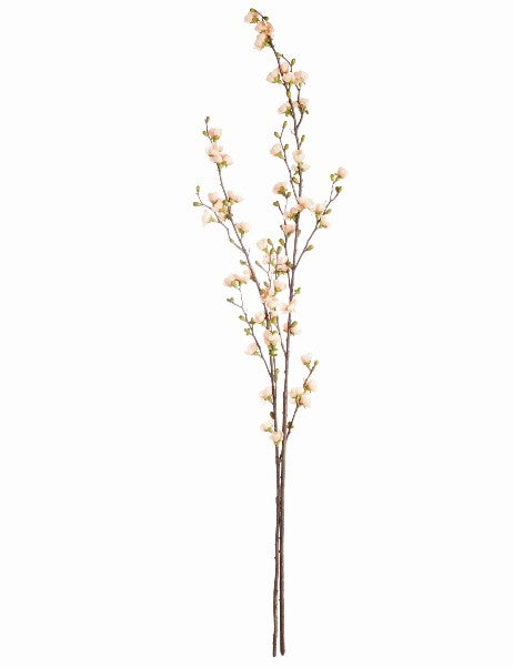 Peach Quince Blossom Branches Bundle of 2